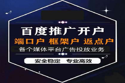 SEM精准广告投放的五大成功案例